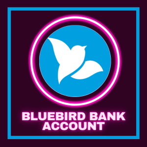 Buy Bluebird Verified Account