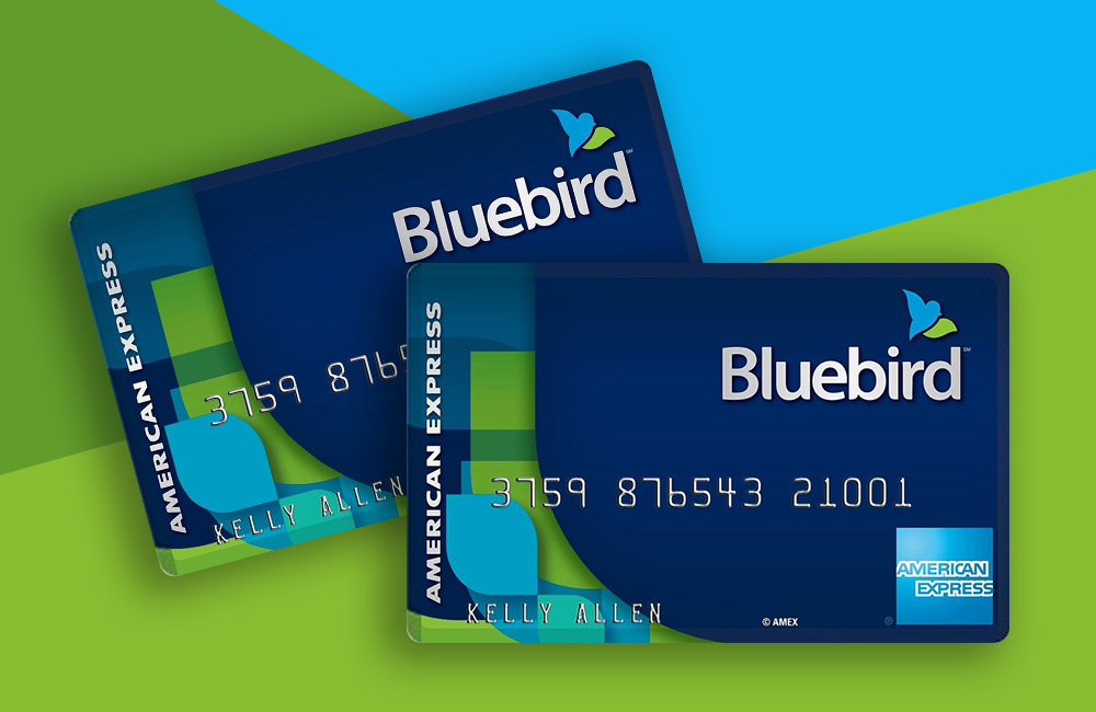 Buy Bluebird Verified Account